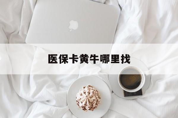 新昌最新医保卡黄牛哪里找方法分析(最方便真实的新昌医保卡的事情去哪里咨询方法)